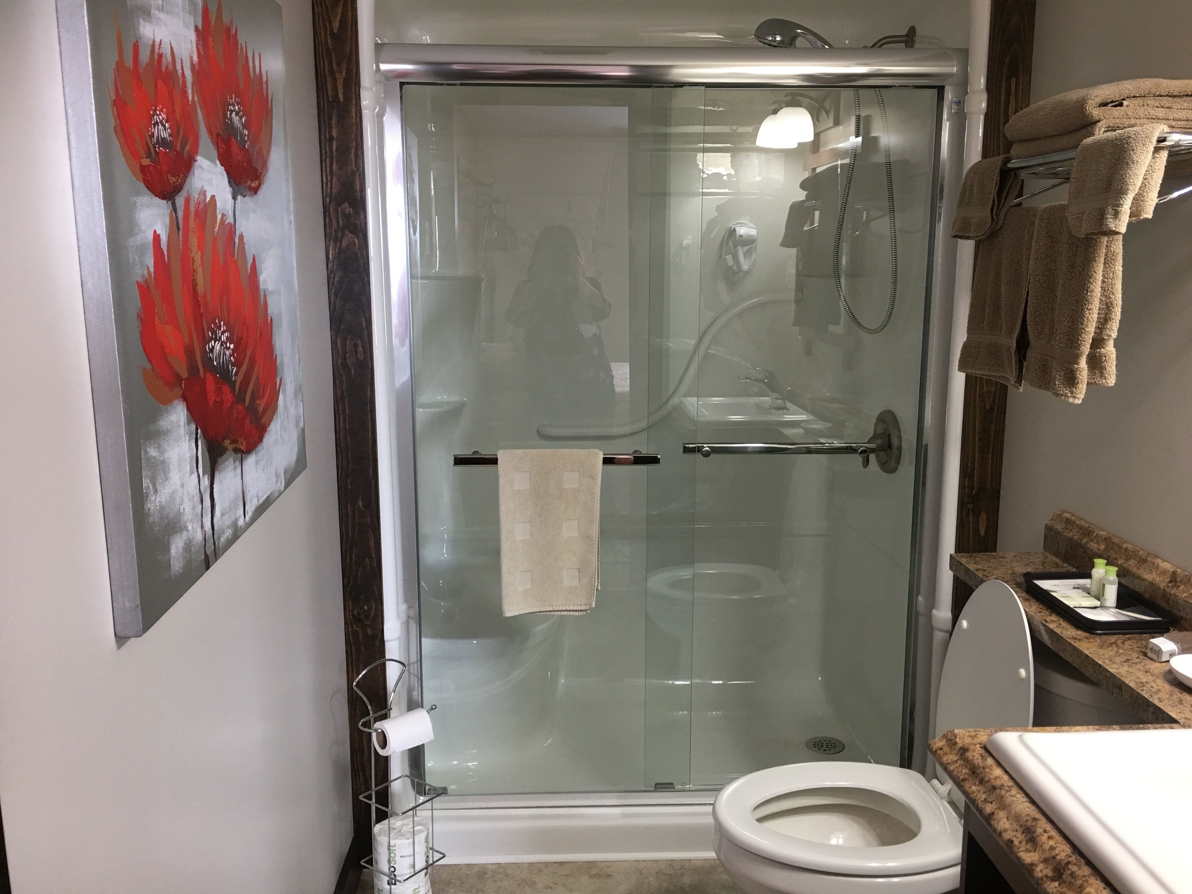 A glass-enclosed shower with a white toilet and a towel rack.