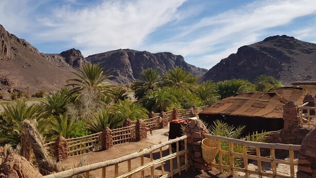 A rustic outdoor area with a wooden fence, stone walls, and palm trees.