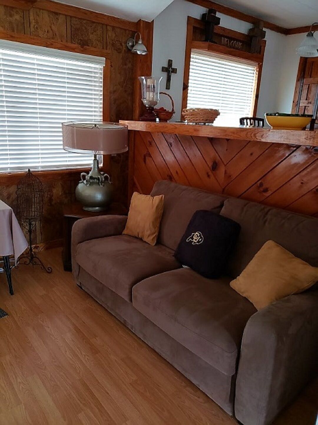 Dog days of summer.  Get out of the heat and into the pool