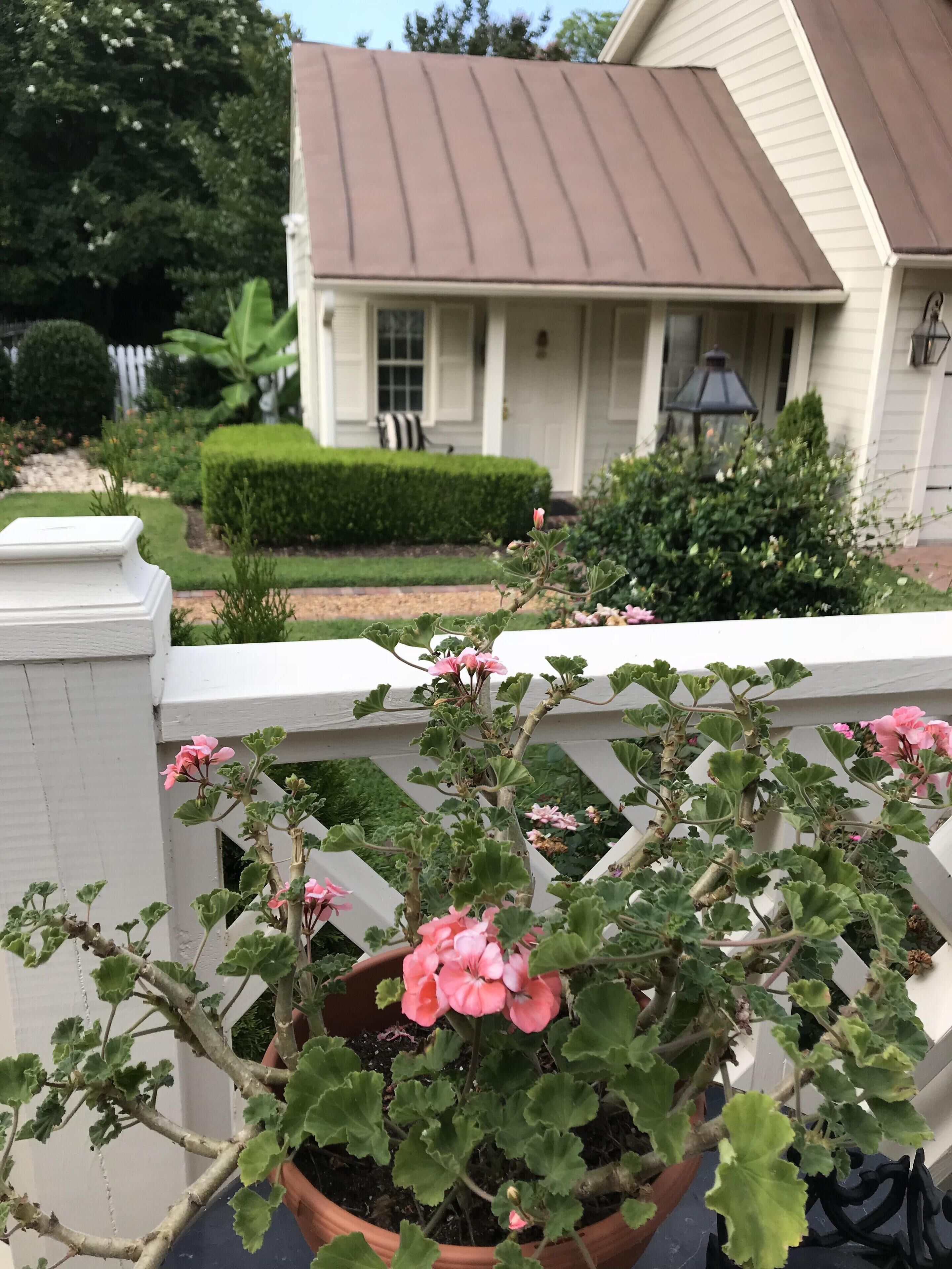 A house with a brown roof and white exterior walls, surrounded by a white fence and a garden with pink flowers.