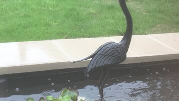 外部細節