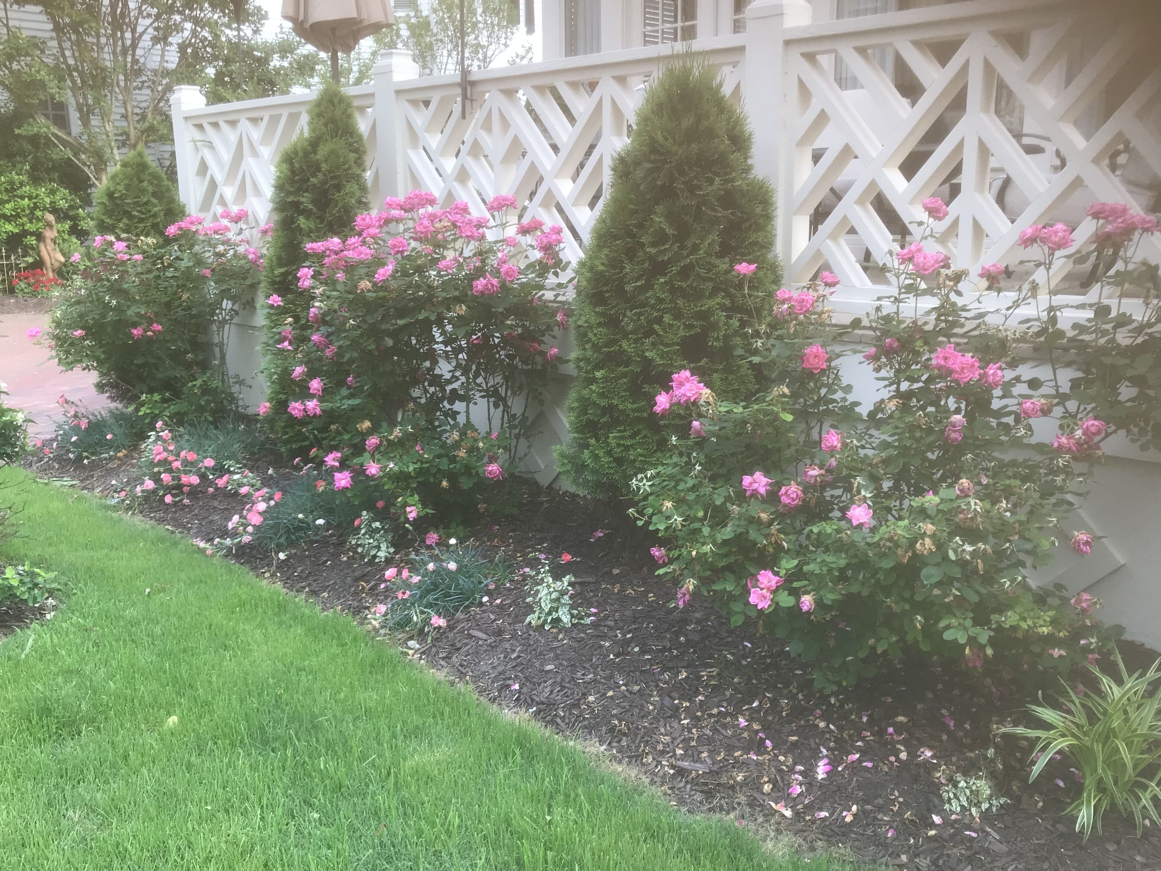 Parco della struttura