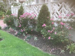 Enceinte de l’hébergement