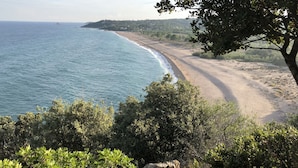 Eine Küstenlandschaft mit Strand, Bäumen und blauem Himmel.
