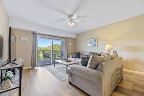 TV, video games, DVD player