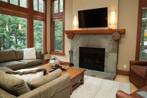 Smart TV, fireplace, DVD player, stereo