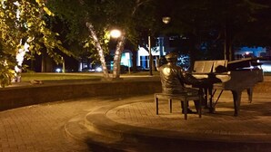 ’s Nacht een buitbeeld van een persoon die piano speelt in een park.
