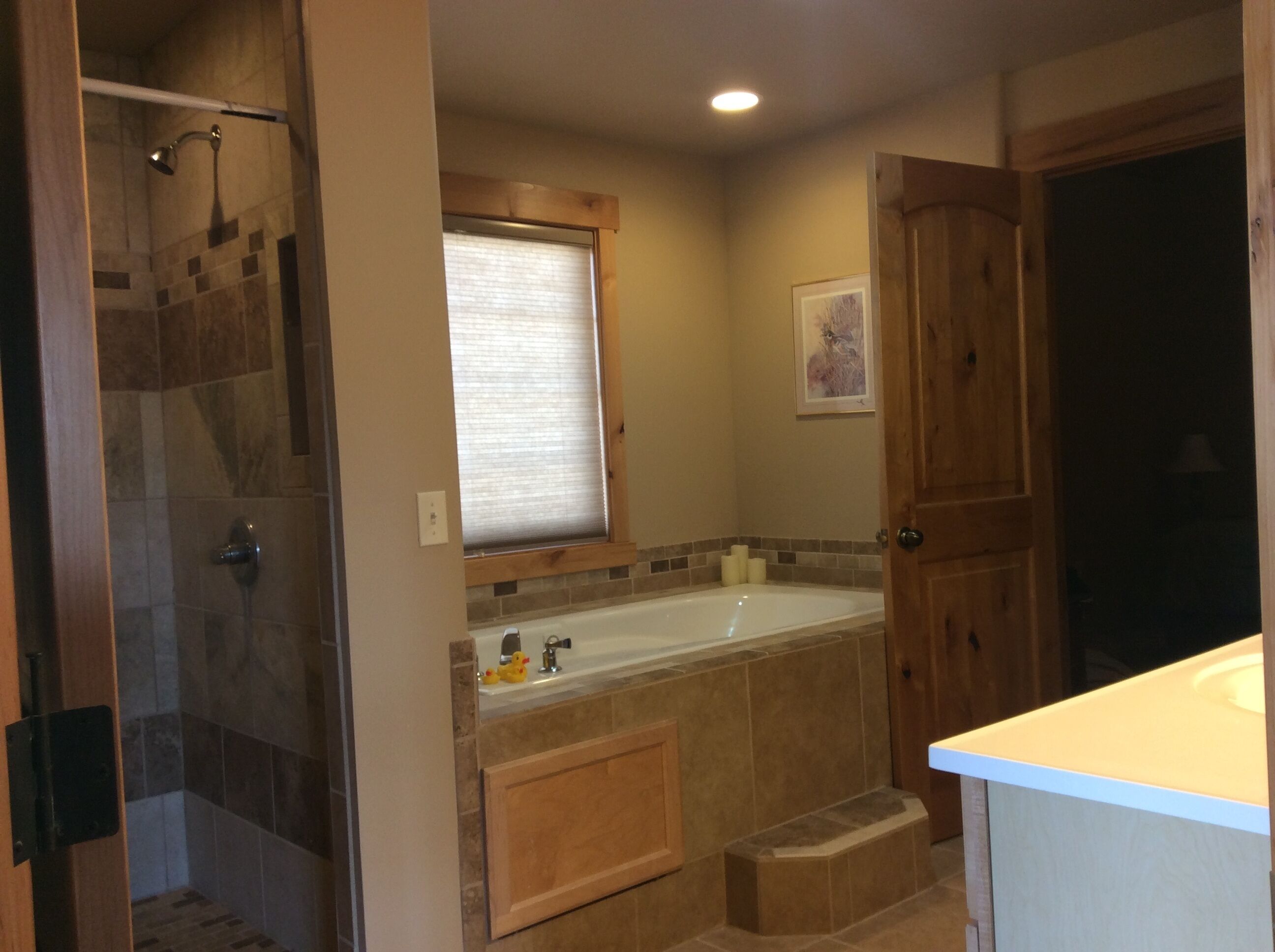 A bathroom with a shower, a bathtub, and a window.