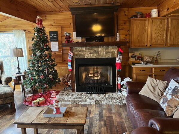 スマートテレビ、暖炉、DVD プレーヤー、書庫