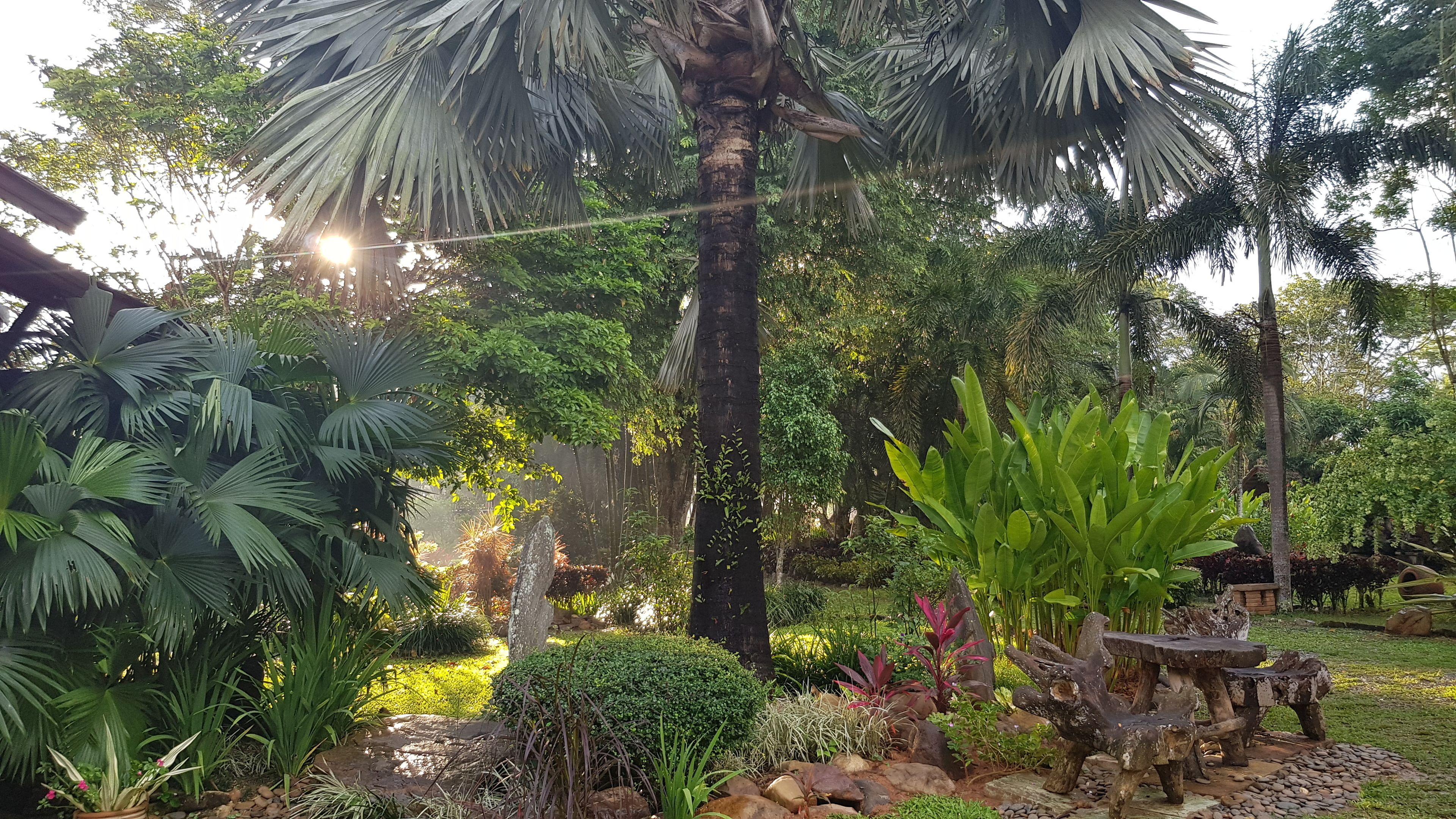 Un exuberante jardín con diversas plantas, una hamaca y un banco de madera rústica.