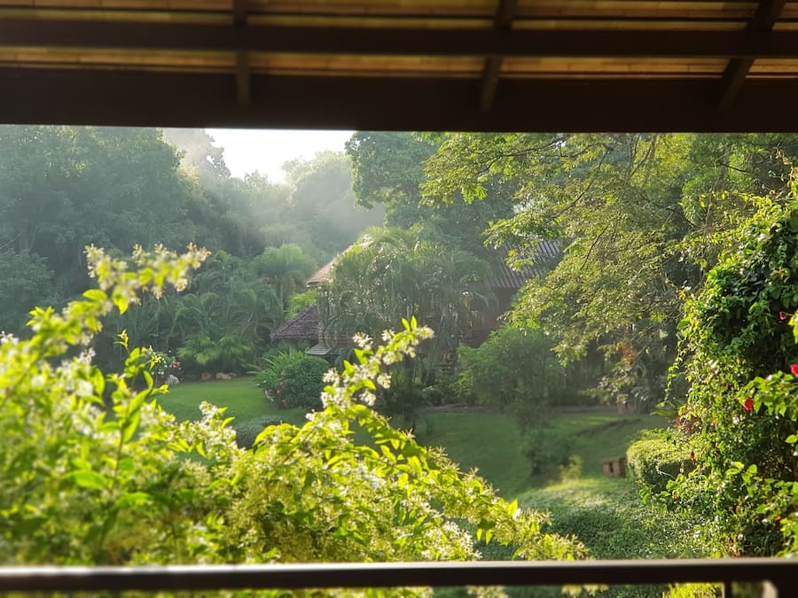 A lush garden with a variety of trees and shrubs, a small pond, and a traditional house in the background.