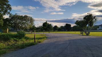A gravel road leading to a grassy area with trees and a fence.