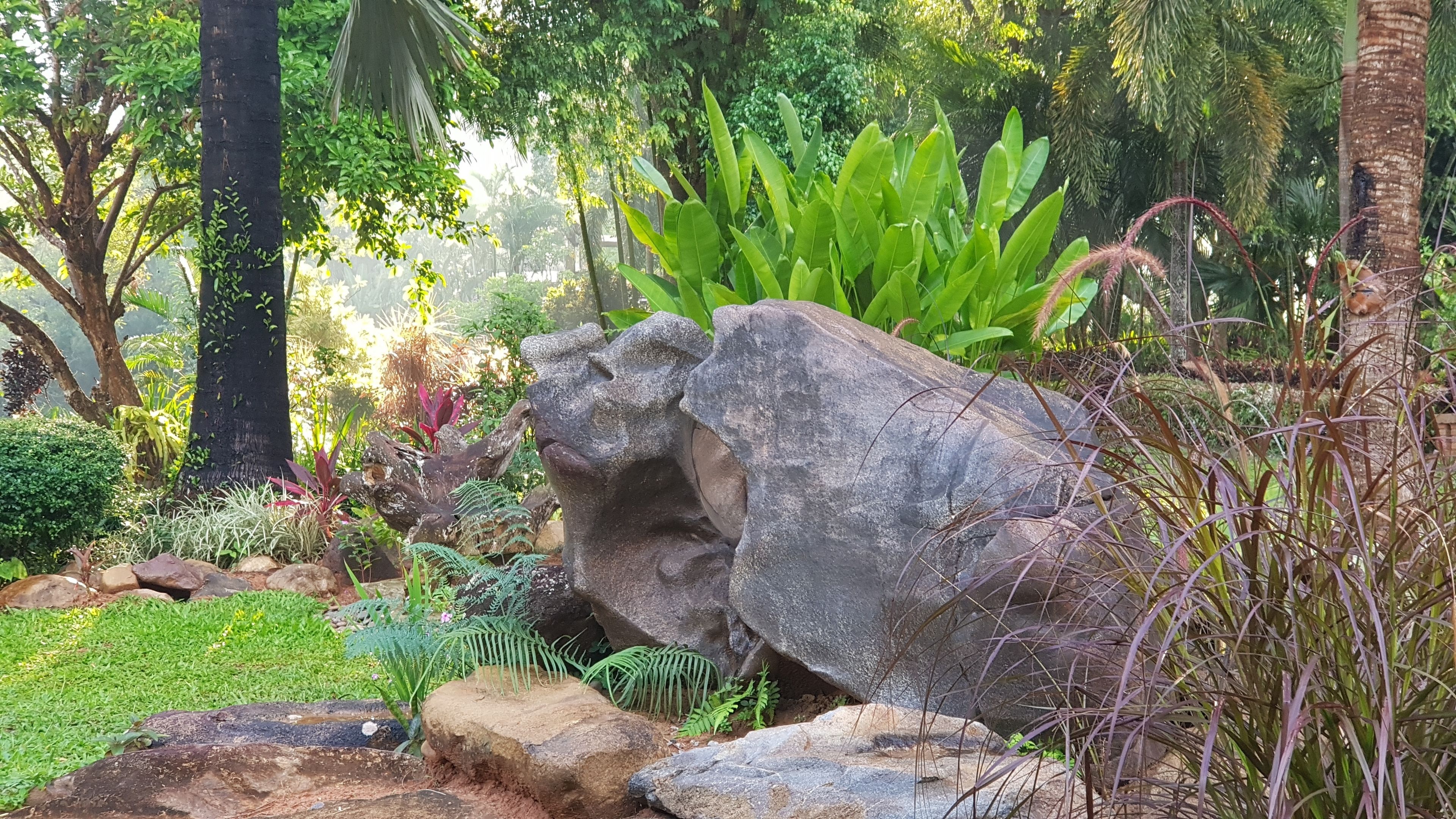 Un jardín con rocas grandes, diversas plantas y árboles.