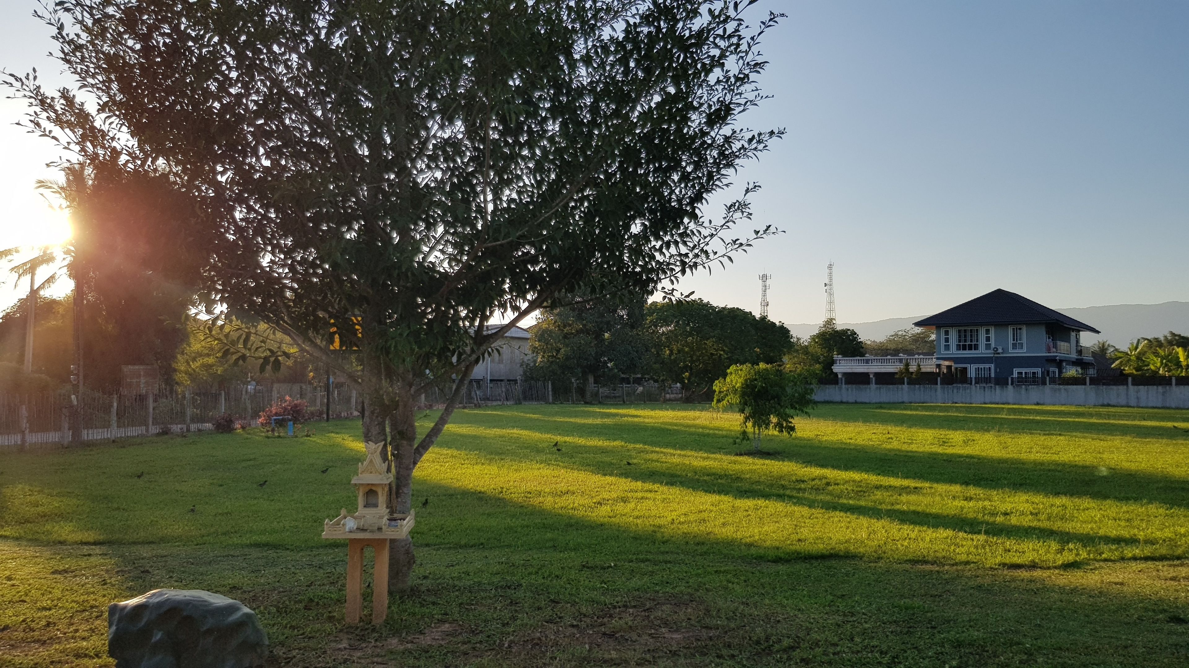 Un espacio cubierto de césped con un pequeño árbol y una estructura de piedra, una casa al fondo y un cielo despejado.