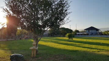 A grassy area with a small tree and a stone structure, a house in the background, and a clear sky.