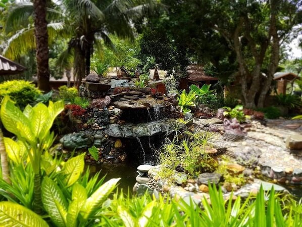 Garden - Baan Sakuna (Chiang Khong)