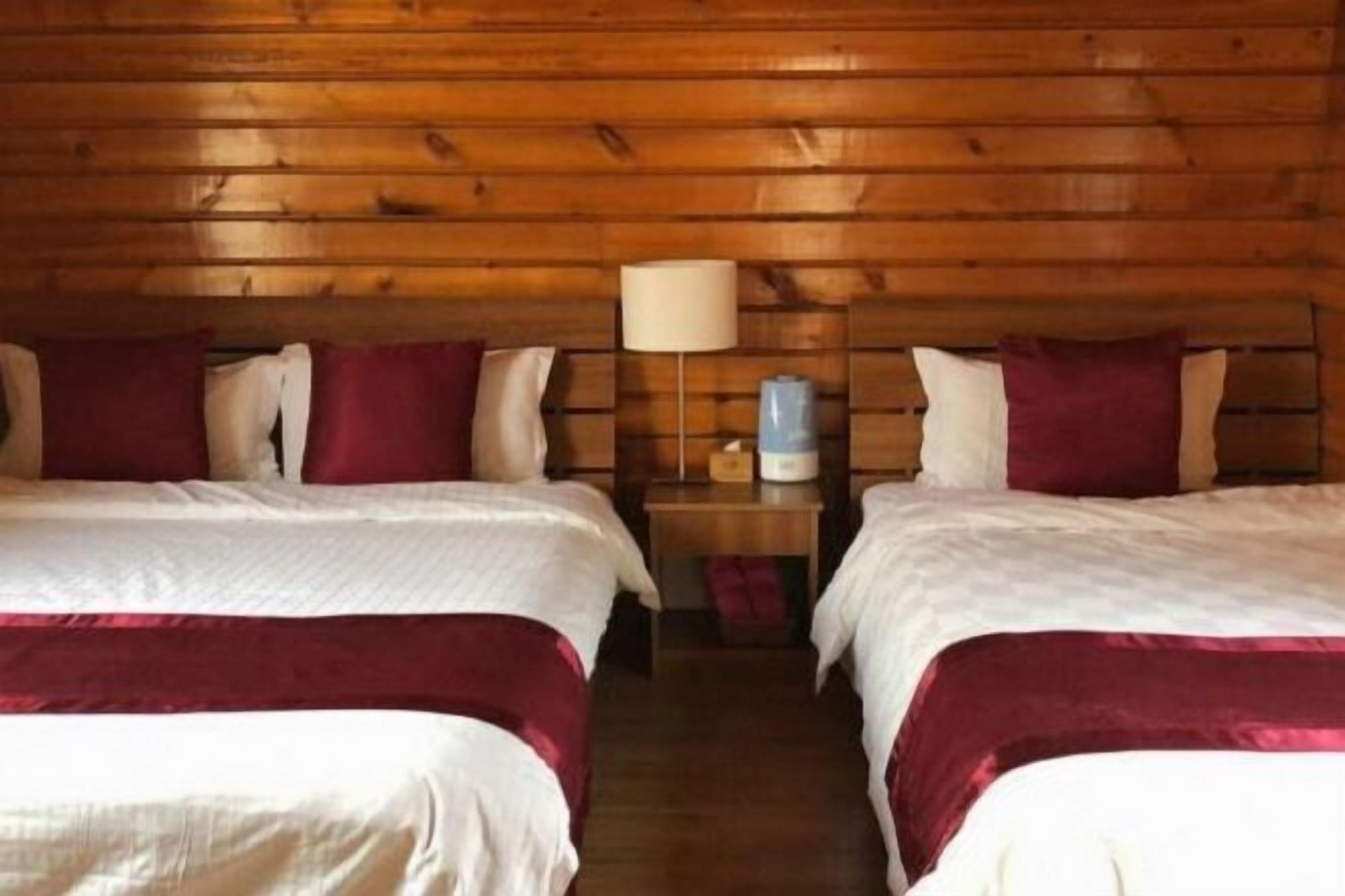 Desk, blackout drapes, soundproofing, iron/ironing board