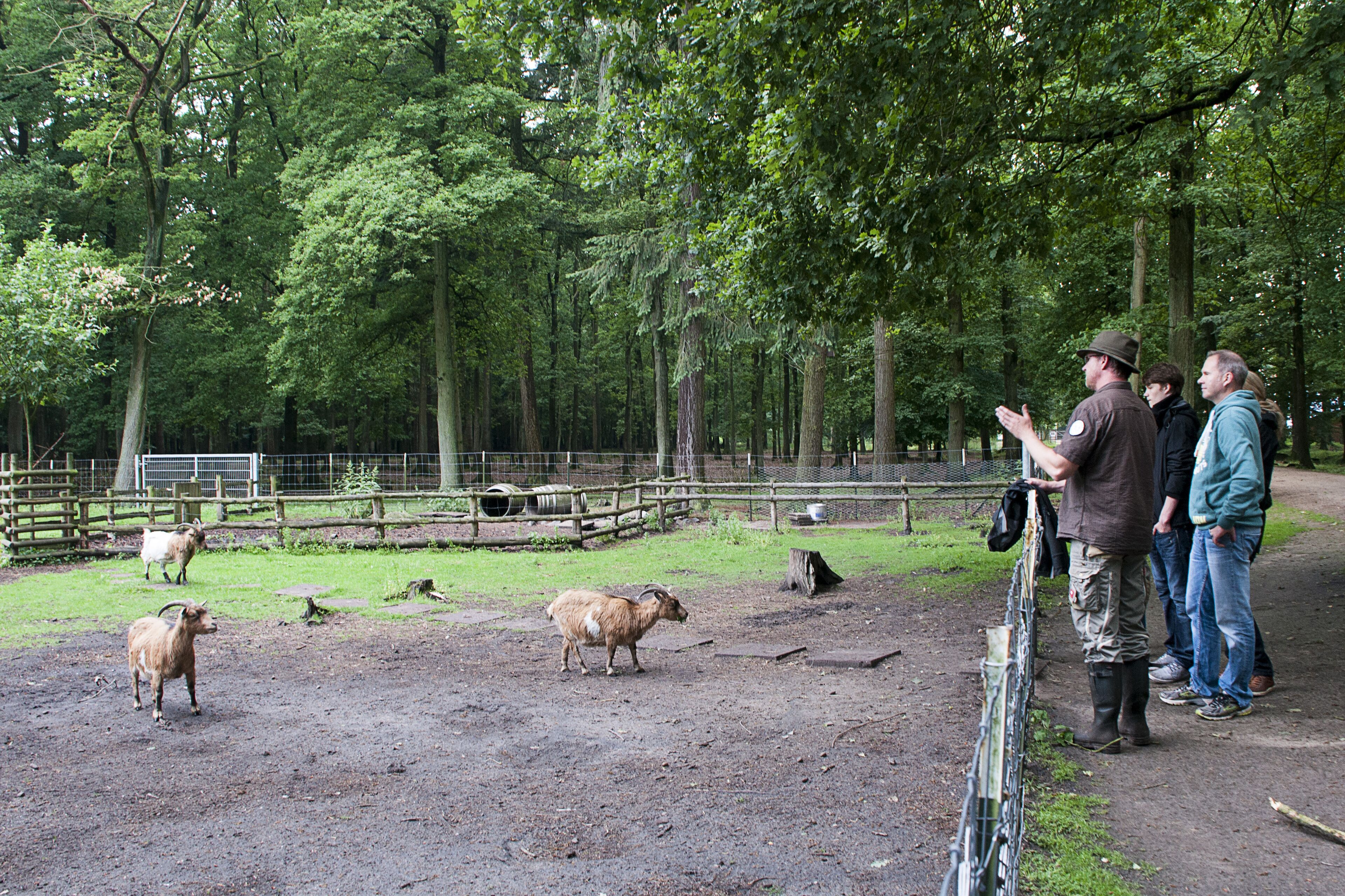 children’s activities