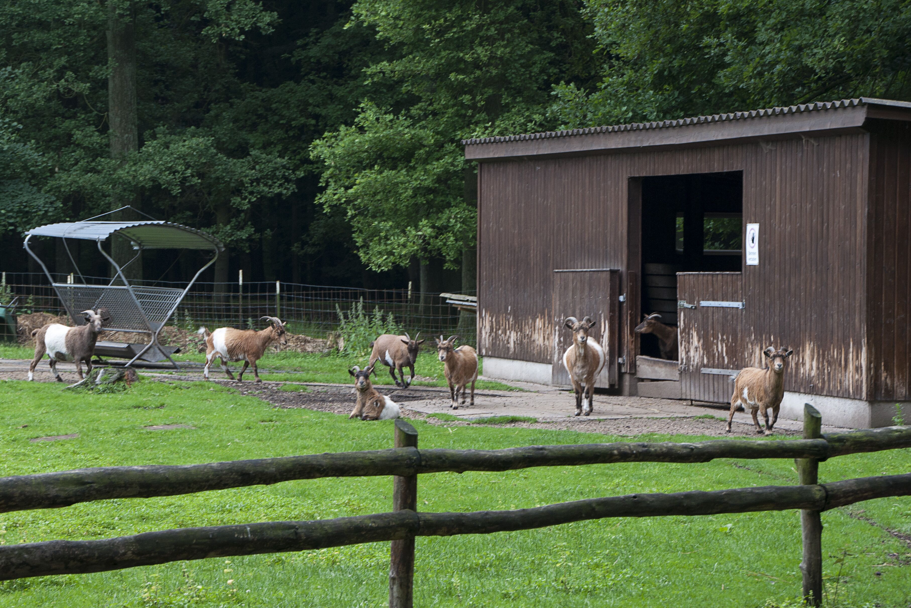 children’s play area – outdoor