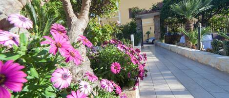 A pathway lined with vibrant pink flowers and a stone wall.
