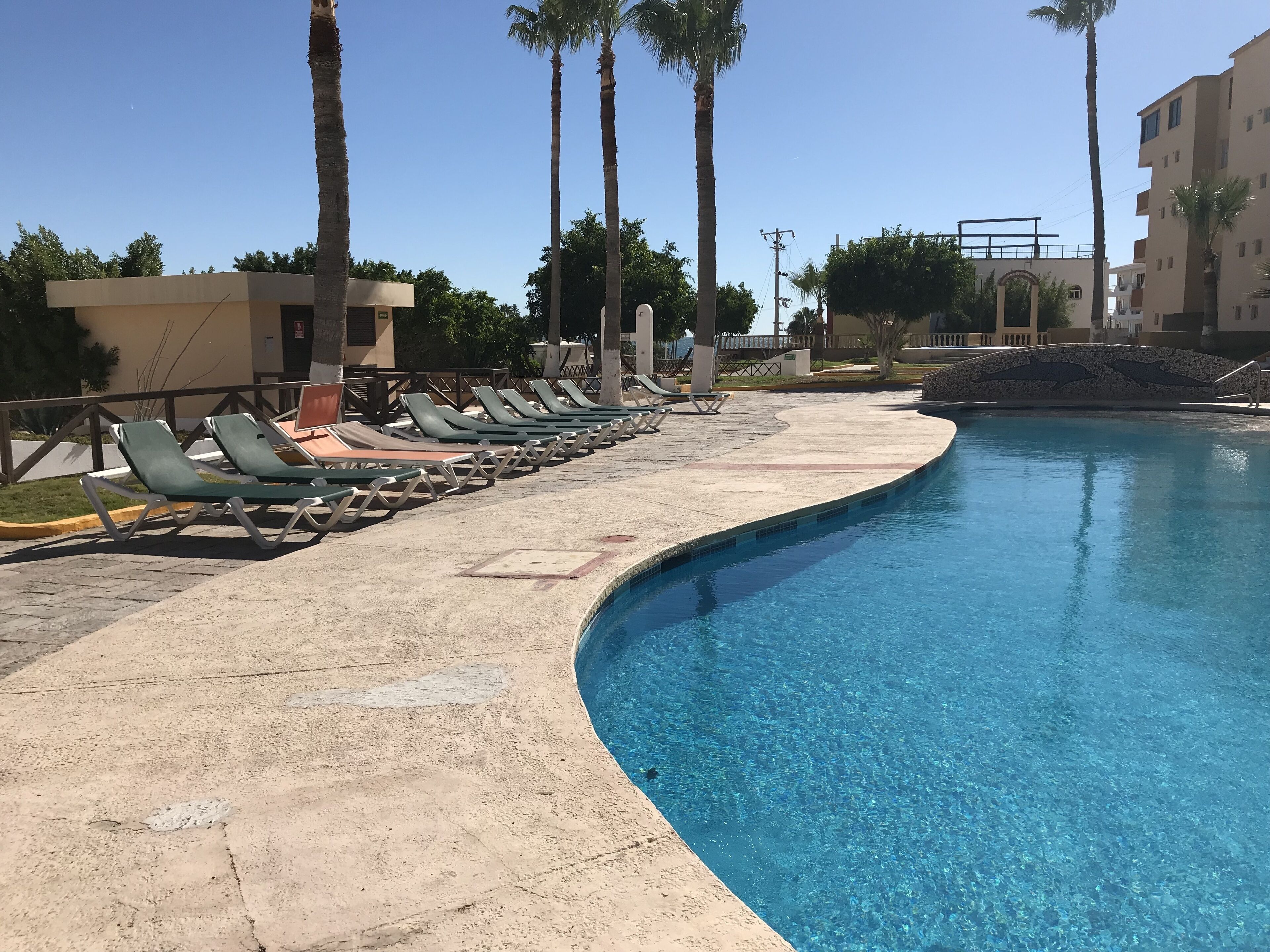 Un espace piscine avec des chaises longues et des palmiers.
