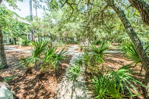 Stroll through lush gardens along a winding concrete path, surrounded by a variety of trees and plants.