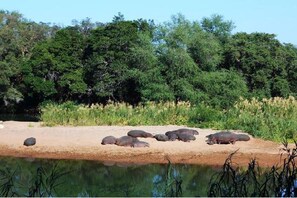 View from property - Ekuthuleni Holiday Resort Chalet 2 (Hoedspruit)