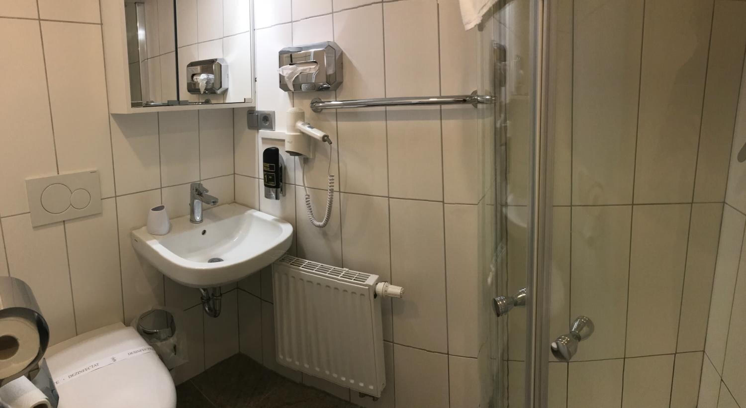 A bathroom with a white sink, a toilet, a glass shower enclosure, and a towel rack.