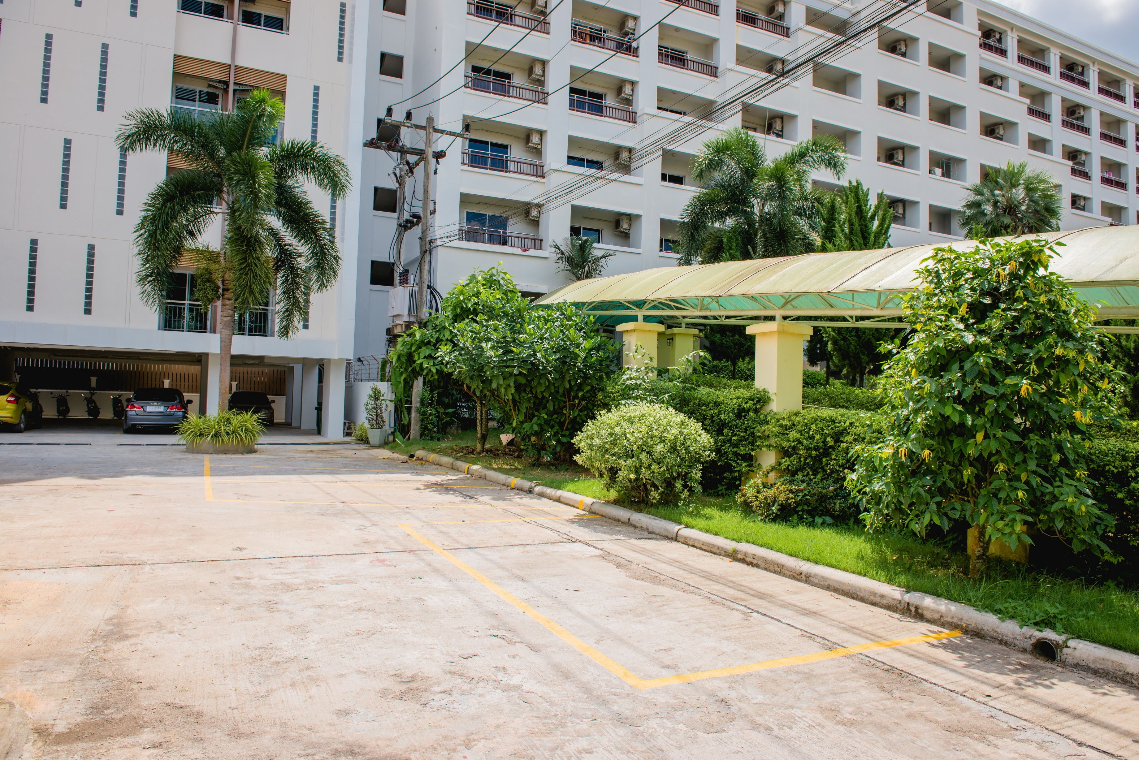 A multi-story hotel with a parking lot, palm trees, and a covered entrance.