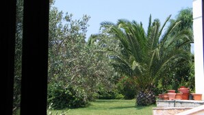 Een tuin met verschillende planten en een palmboom, met een gebouw op de achtergrond.