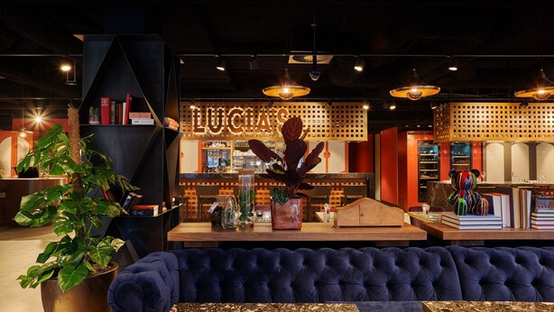 Zona de bar moderna con un sofá azul acolchado, una planta grande en maceta y una barra de madera con diferentes botellas y vasos.