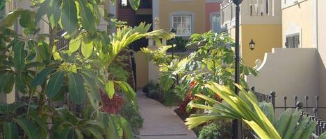 A narrow pathway flanked by lush greenery and buildings with balconies.