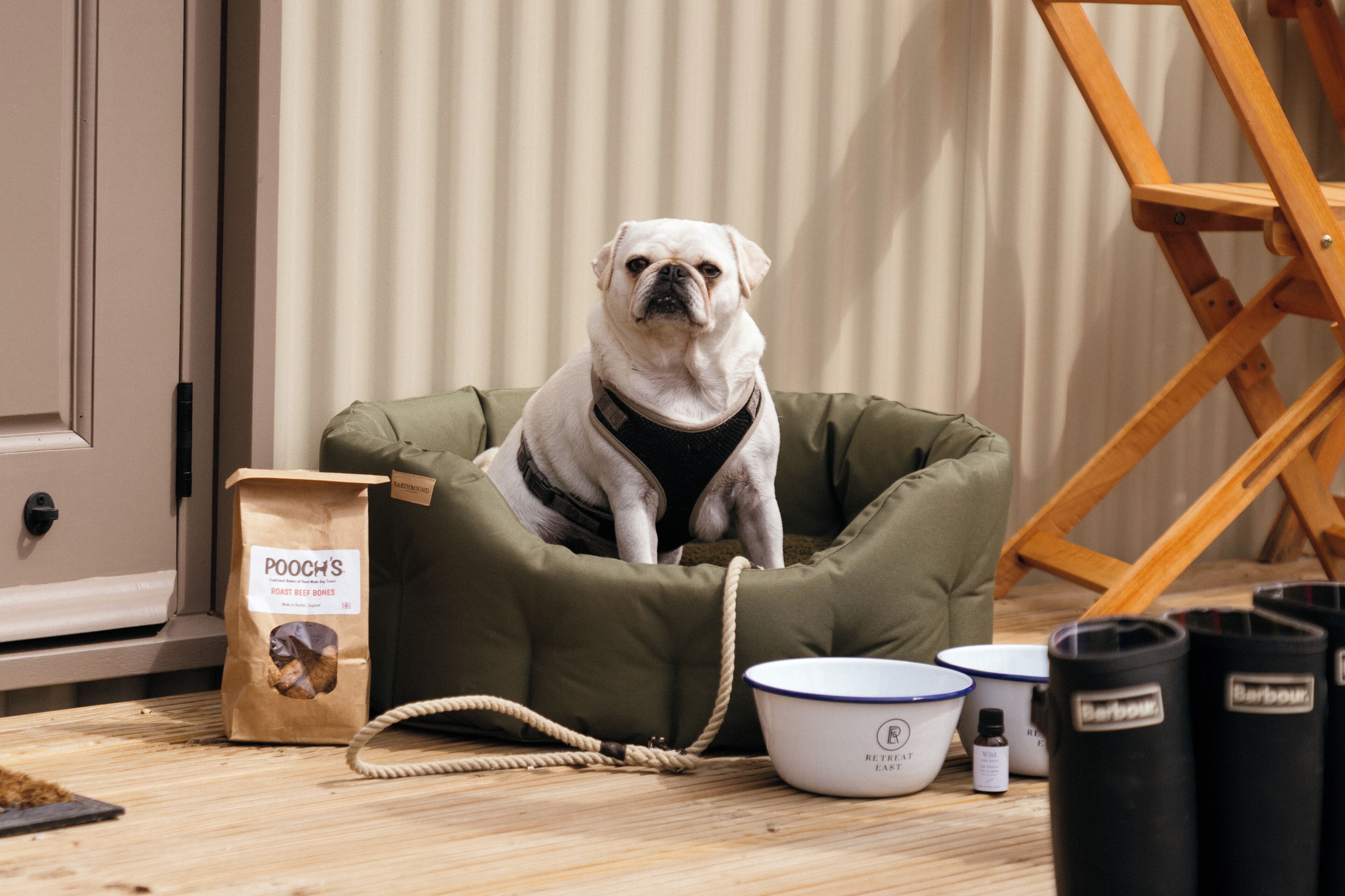A dog in a green bed with a bag of dog food and a bowl on the floor.