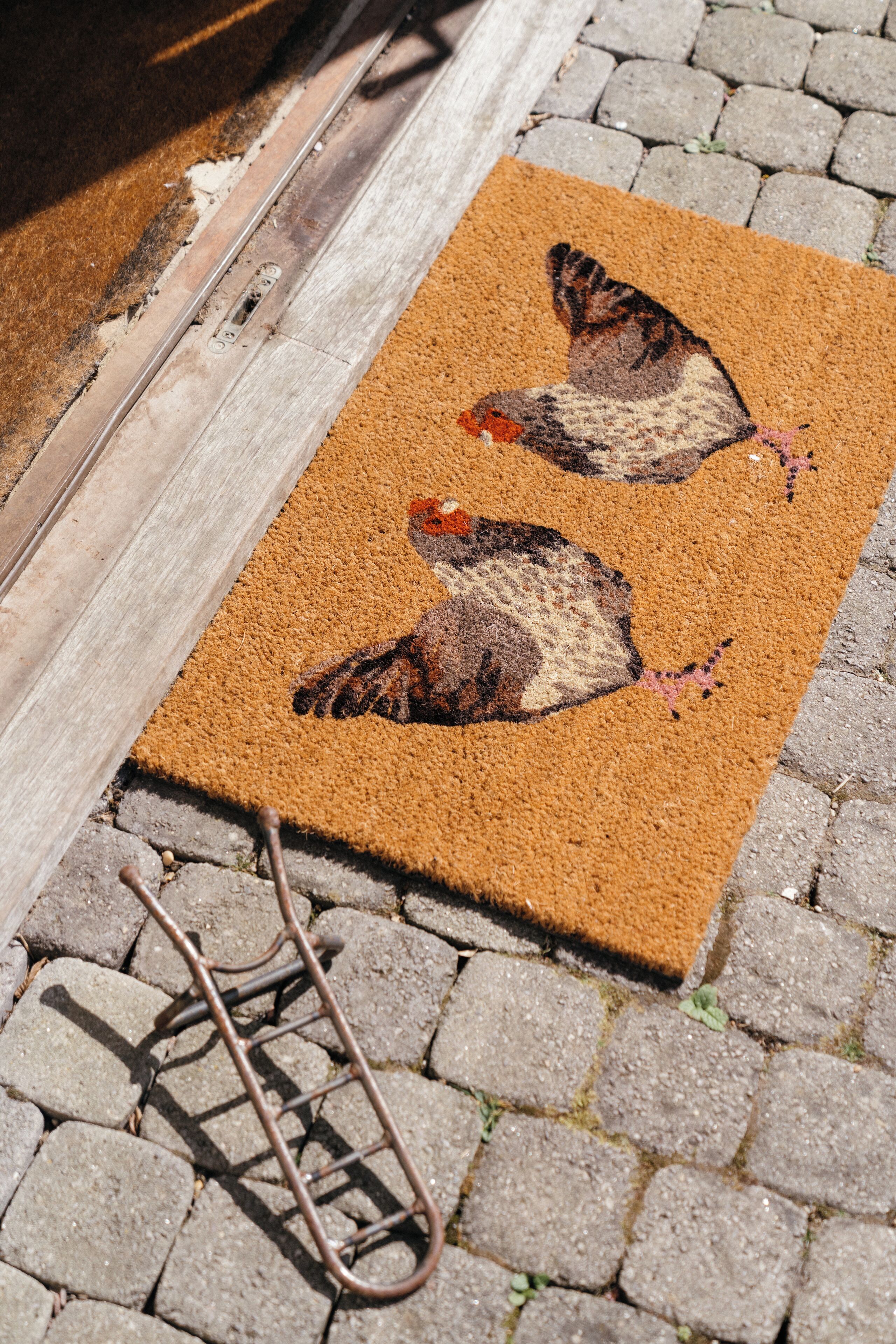 A doormat with a bird design, placed on a cobblestone surface next to a wooden door.