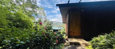 Une cabane en bois avec une entrée en béton, entourée d’une végétation luxuriante et sous un ciel dégagé.
