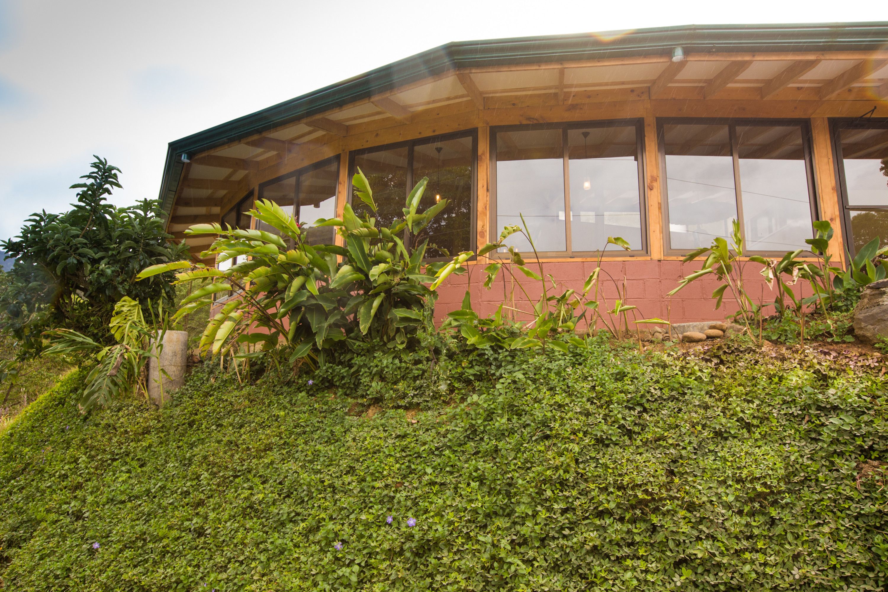 A building with a wooden exterior and large windows, surrounded by lush greenery and plants.