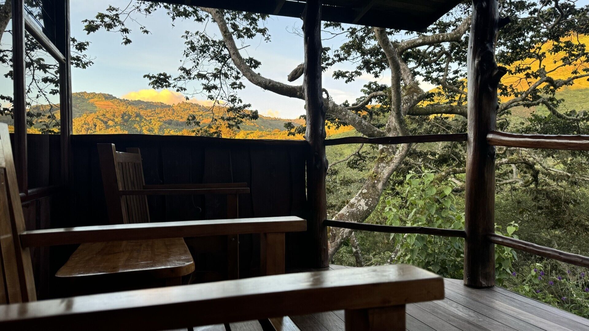 An outdoor wooden deck with benches, overlooking a forested area with autumn foliage.
