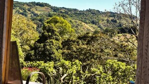 A room with a large window overlooking a hilly landscape with dense greenery. - Toucanet Lodge (Copey)