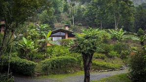 A rustic house surrounded by lush greenery and a small stream. - Toucanet Lodge (Copey)