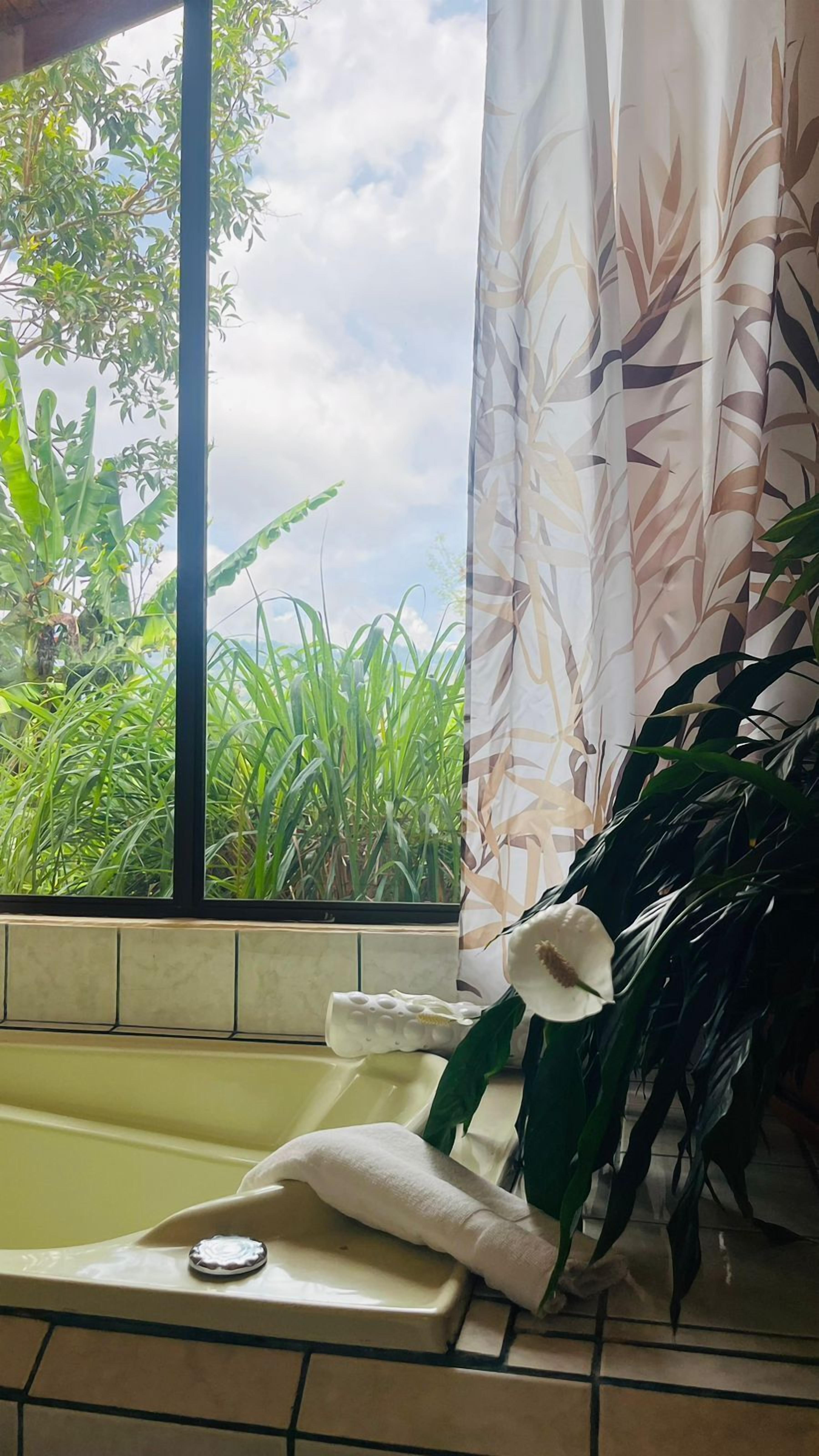 Ein Badezimmer mit Fenster, einer Badewanne und einer Zimmerpflanze.