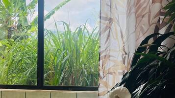Ein Badezimmer mit Fenster, einer Badewanne und einer Zimmerpflanze.