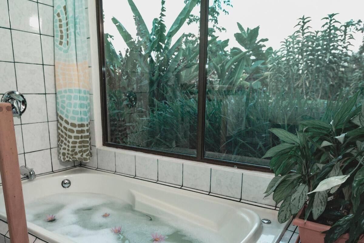 shower, free toiletries, hair dryer