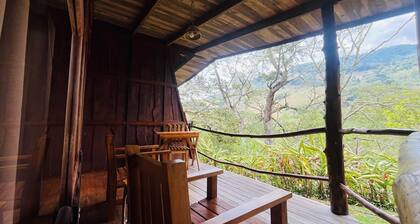Toucanet Lodge