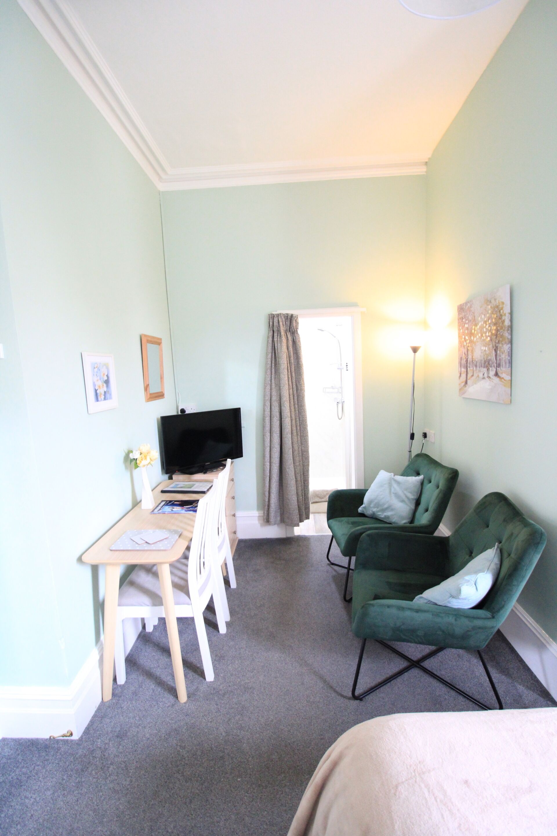 A room with a television, a desk with a chair, two green armchairs, a painting on the wall, and a door with a shower curtain.