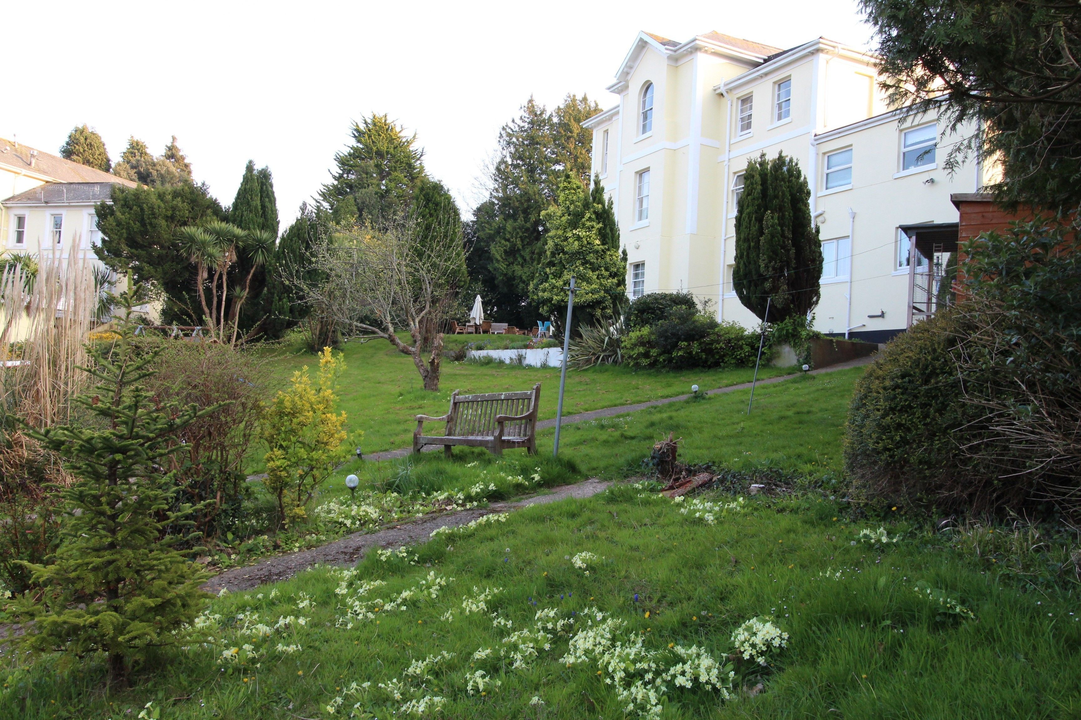 A residential area with a grassy lawn, a bench, and a pathway leading to a building with multiple windows.