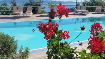 Zona junto a la piscina con sillones de descanso, sombrillas y geranios rojos.