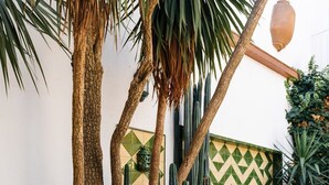 A garden with cacti, a stone pathway, and a wall with a geometric tile pattern.