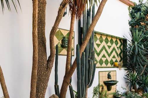 Giardino
