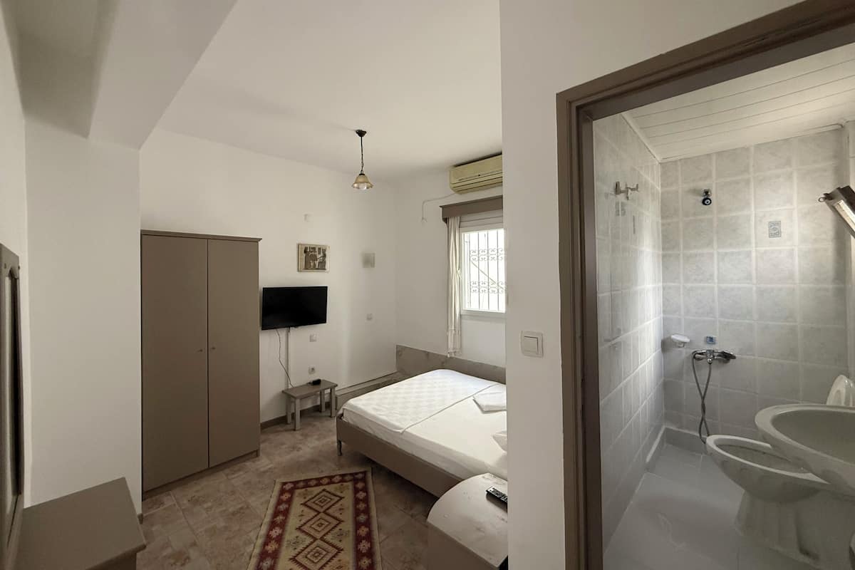 A bedroom with a bed, wardrobe, TV, and a bathroom with a shower and sink.