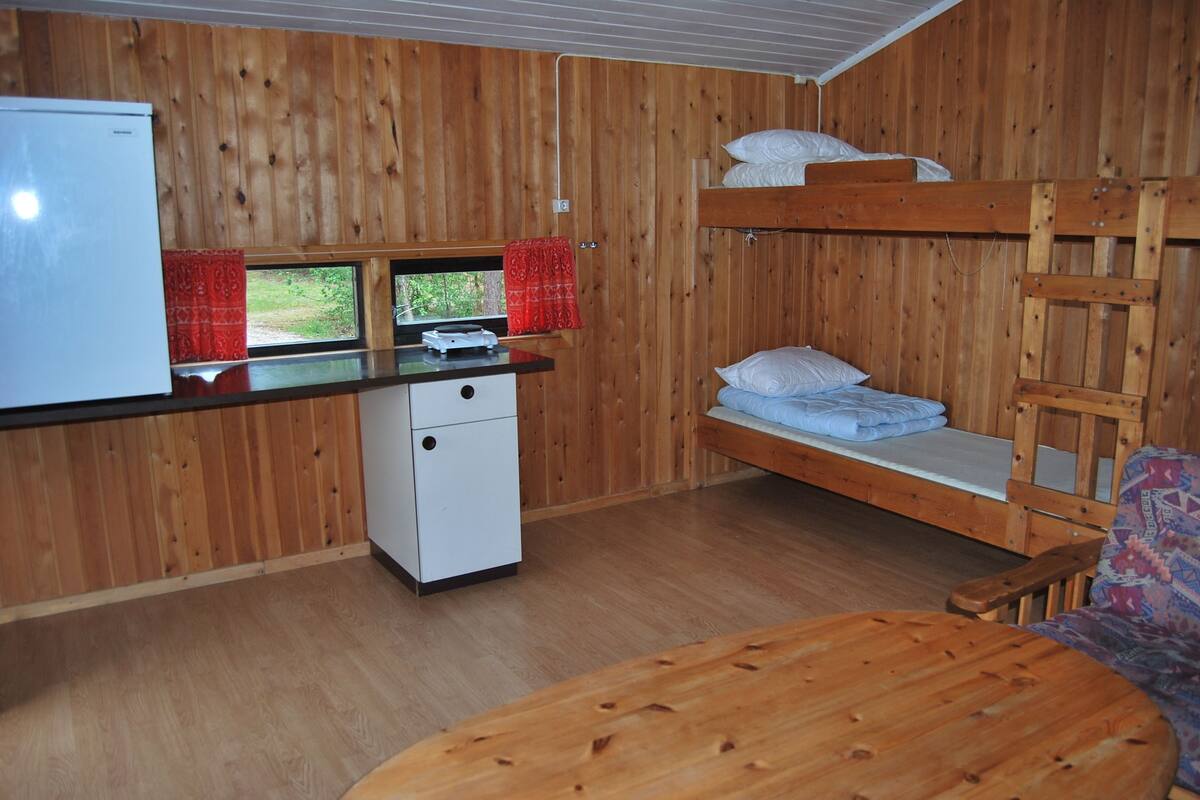 Une chambre compacte avec un lit superposé, une petite kitchenette équipée d’un réfrigérateur et une fenêtre donnant sur un espace verdoyant.